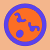 ls_tmp