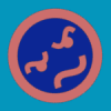 wsqgr